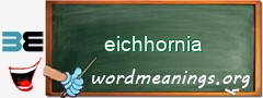 WordMeaning blackboard for eichhornia